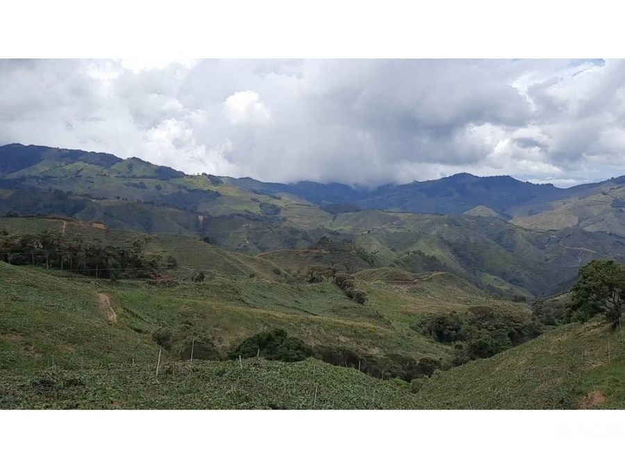 Debida diligencia de cinco predios rurales para un proyecto agrícola