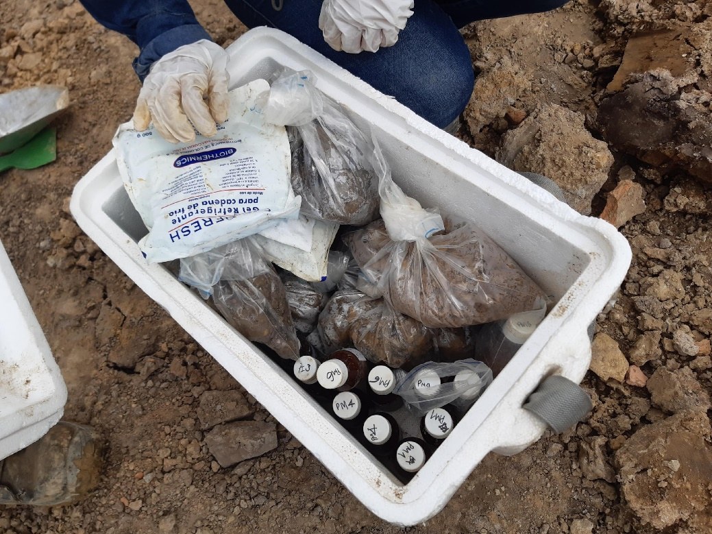 Frascos de muestra rotulados dentro de la nevera de transporte al laboratorio